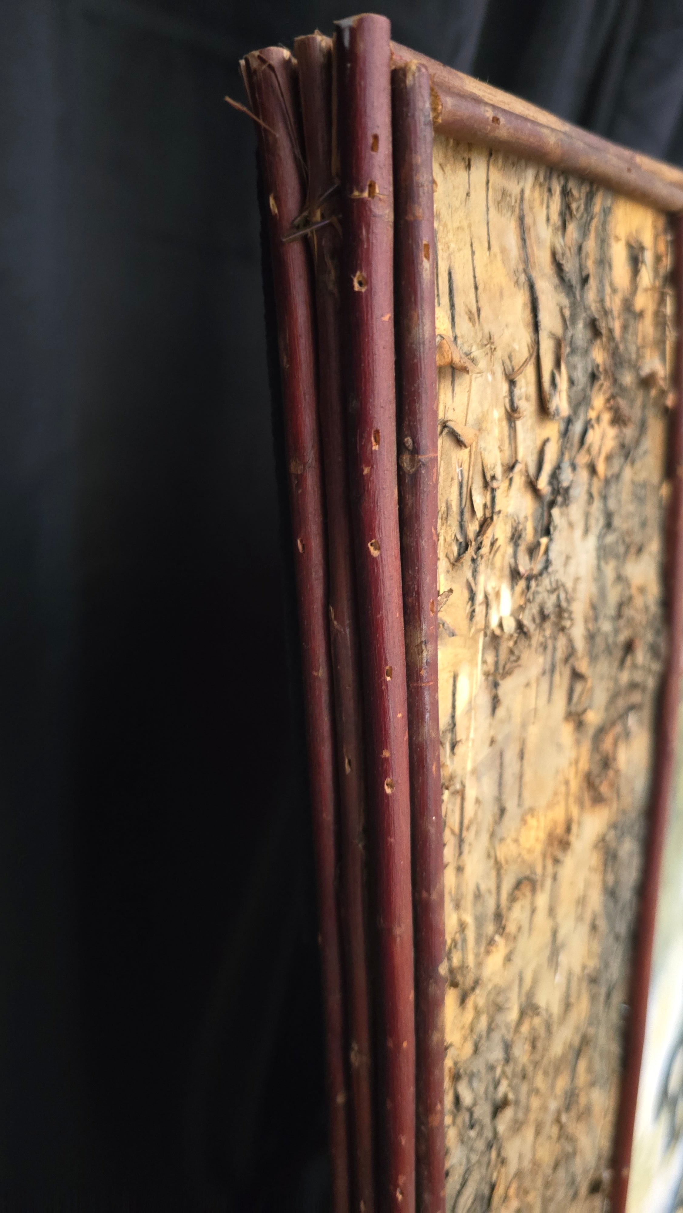 "Running Rapids" Numbered Limited Addition Canvas Transfer By Marilynn Dwyer Mason 2006