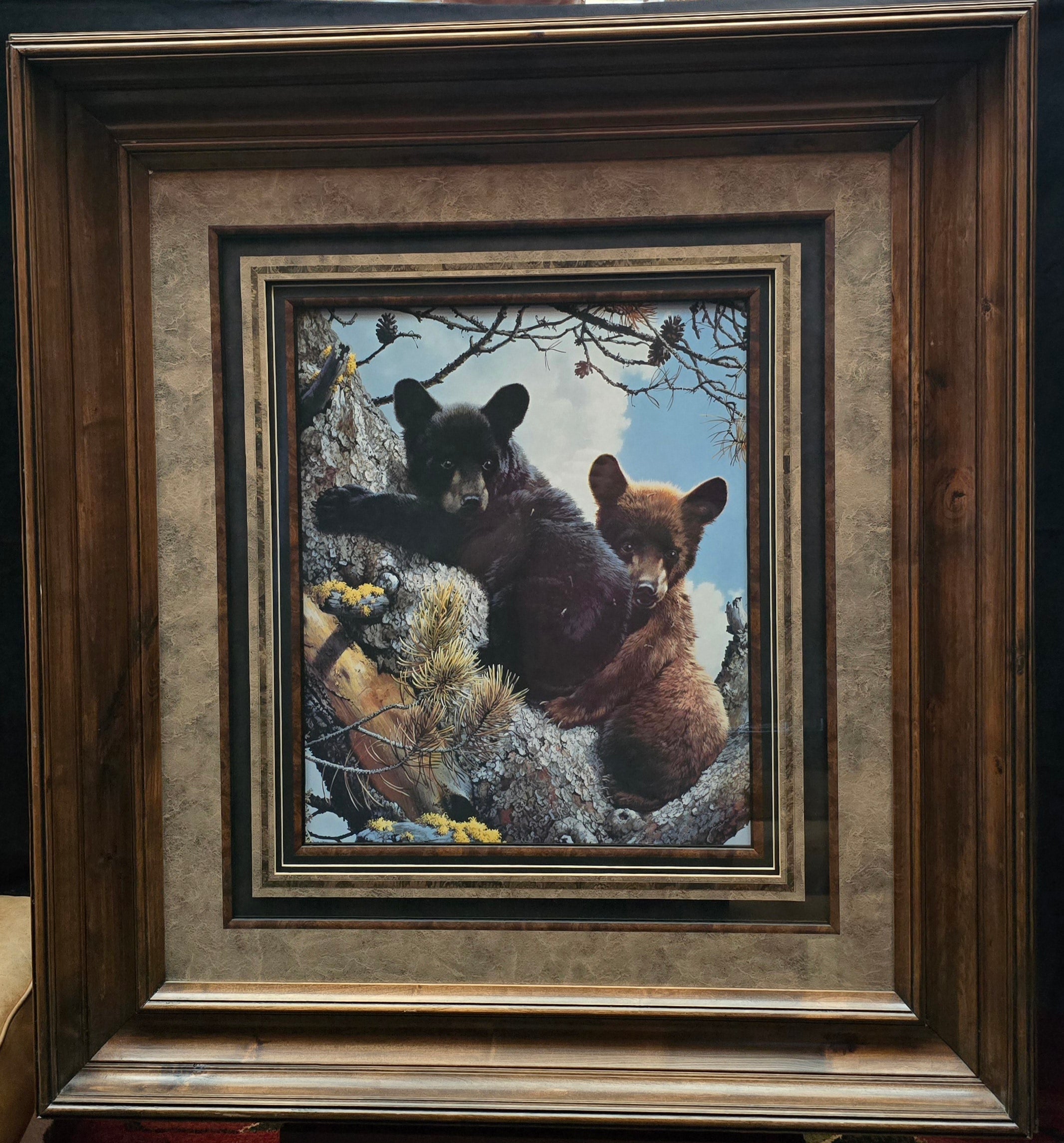 Two Black Bear Cubs Climbing in a Pine Tree with a Wood Frame