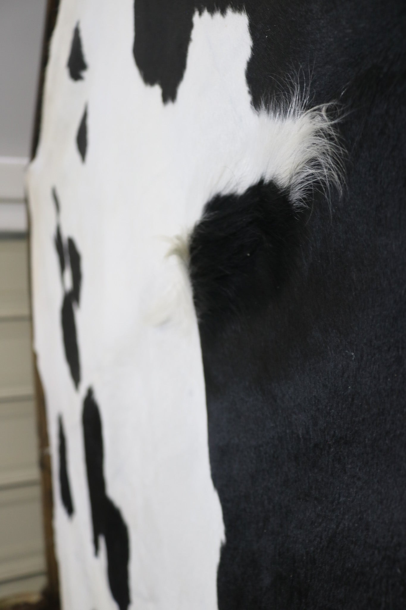 Stunning Black and White Cowhide Handmade in Brazil