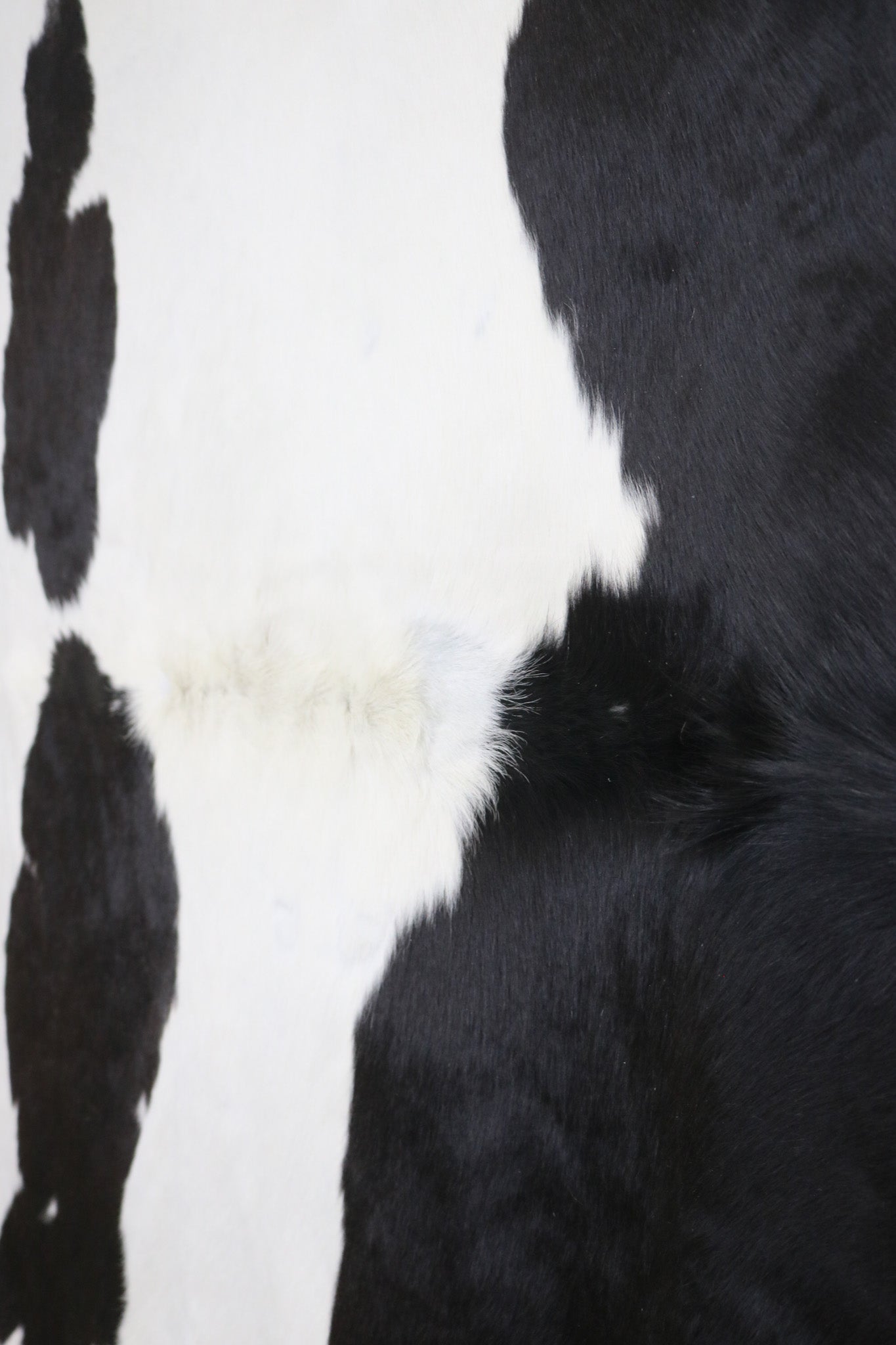 Unique Black and White Cowhide Handmade in Brazil