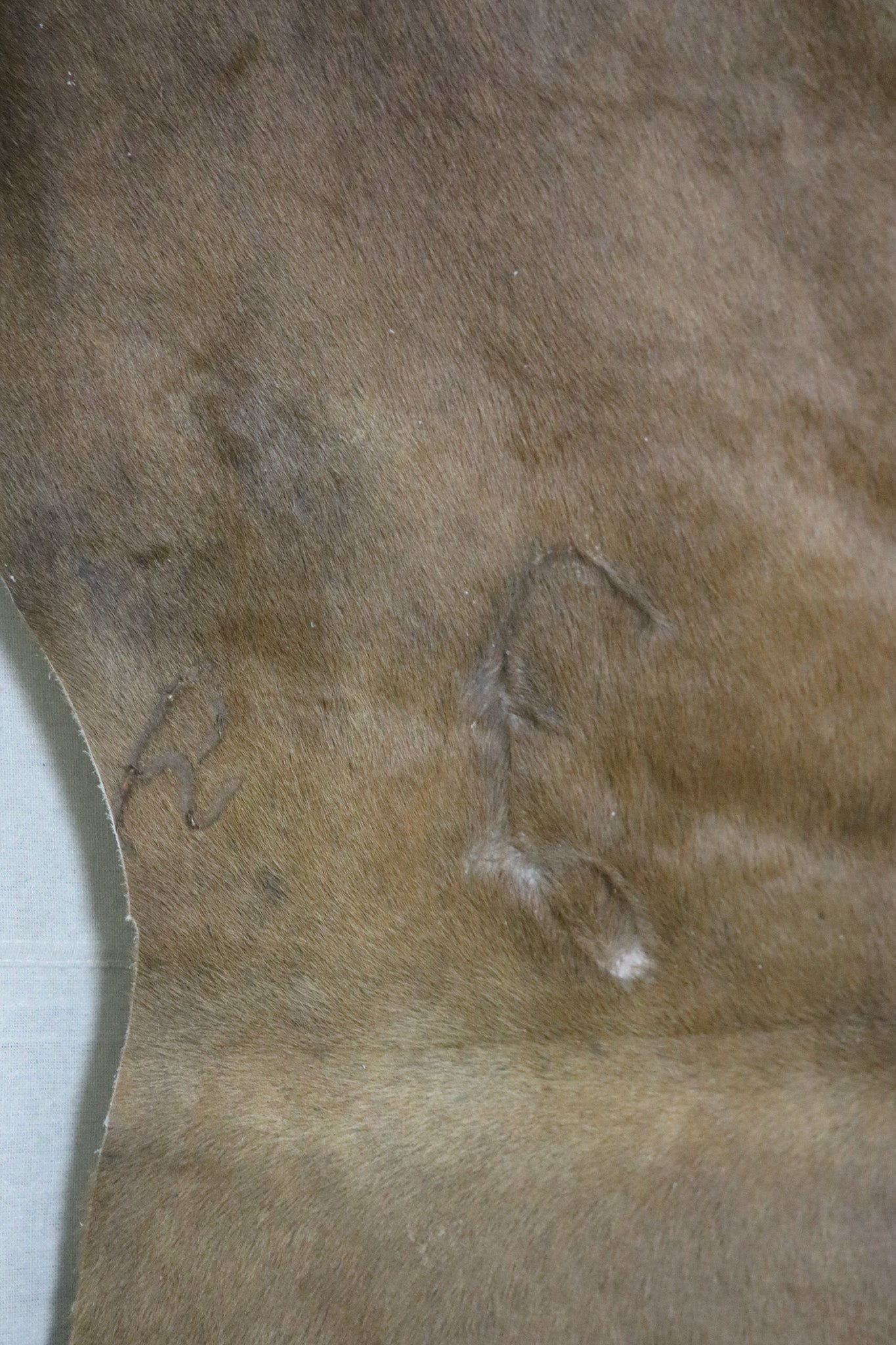 Original Brown Cowhide Handmade in Argentina