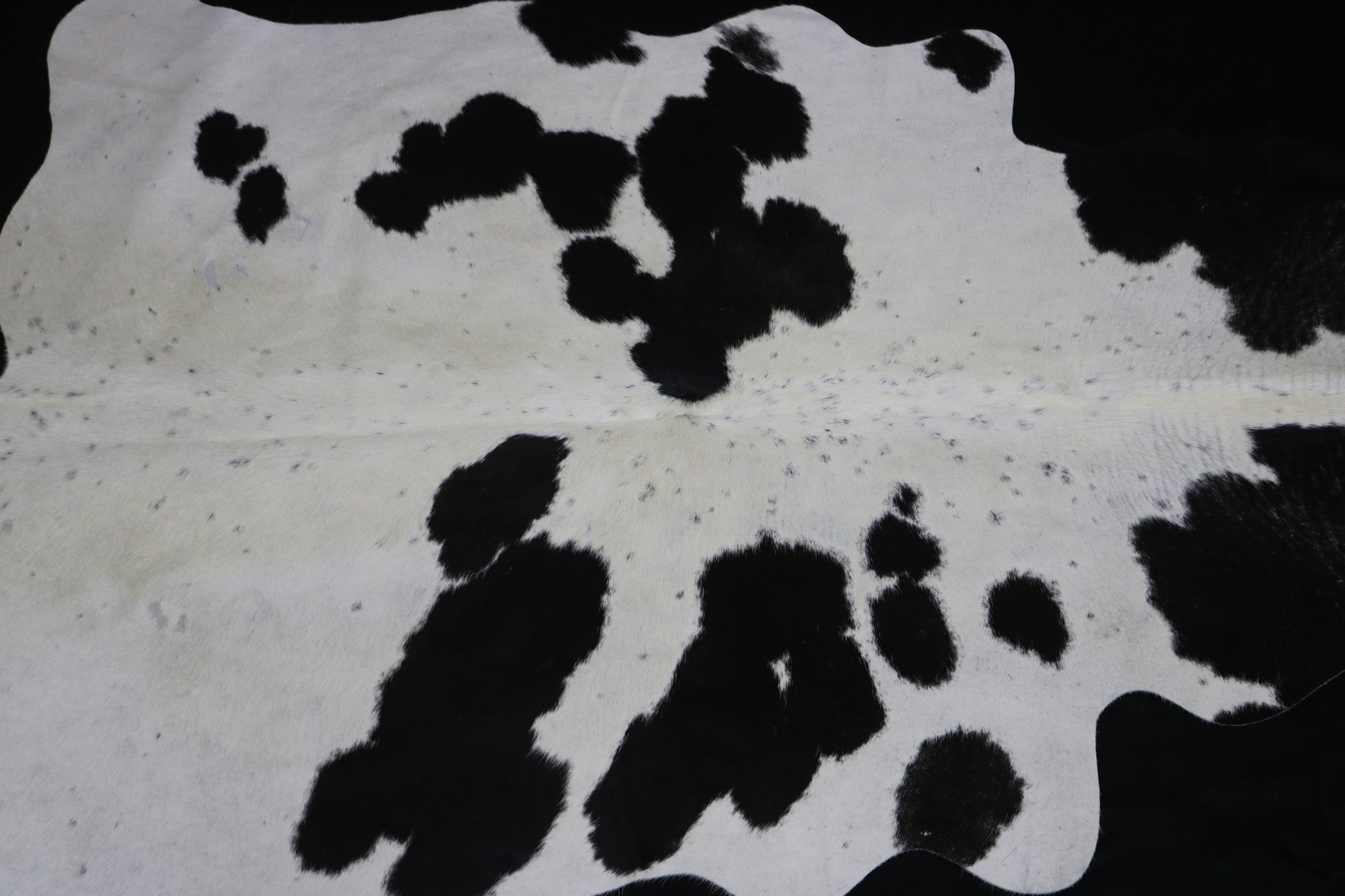 Marvelous Black and White Cowhide made in Brazil