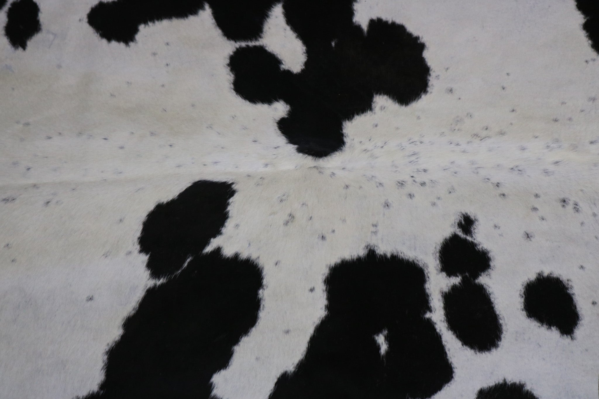 Marvelous Black and White Cowhide made in Brazil