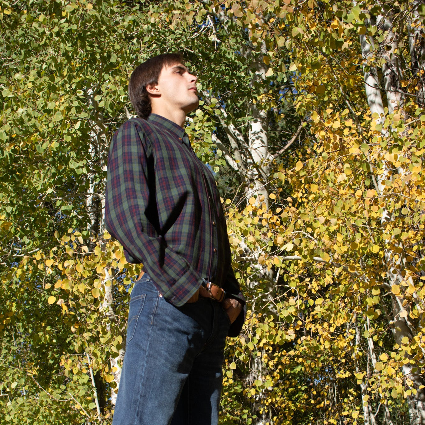 Pendleton Button-up Shirt Navy Blue and Green Plaid Size Large