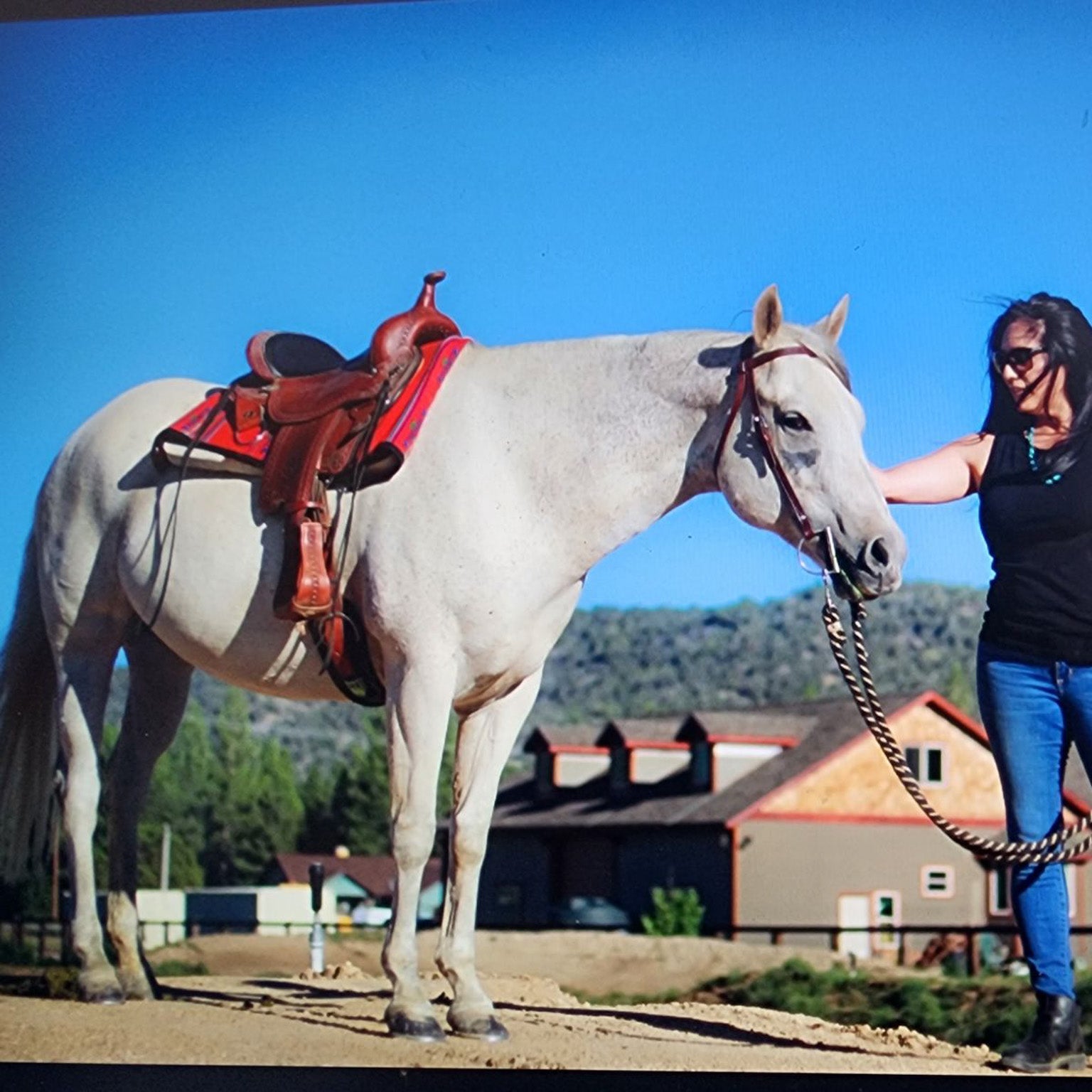 Beaver State Pendleton Woolen Mills Aztec Print Red Saddle Blanket