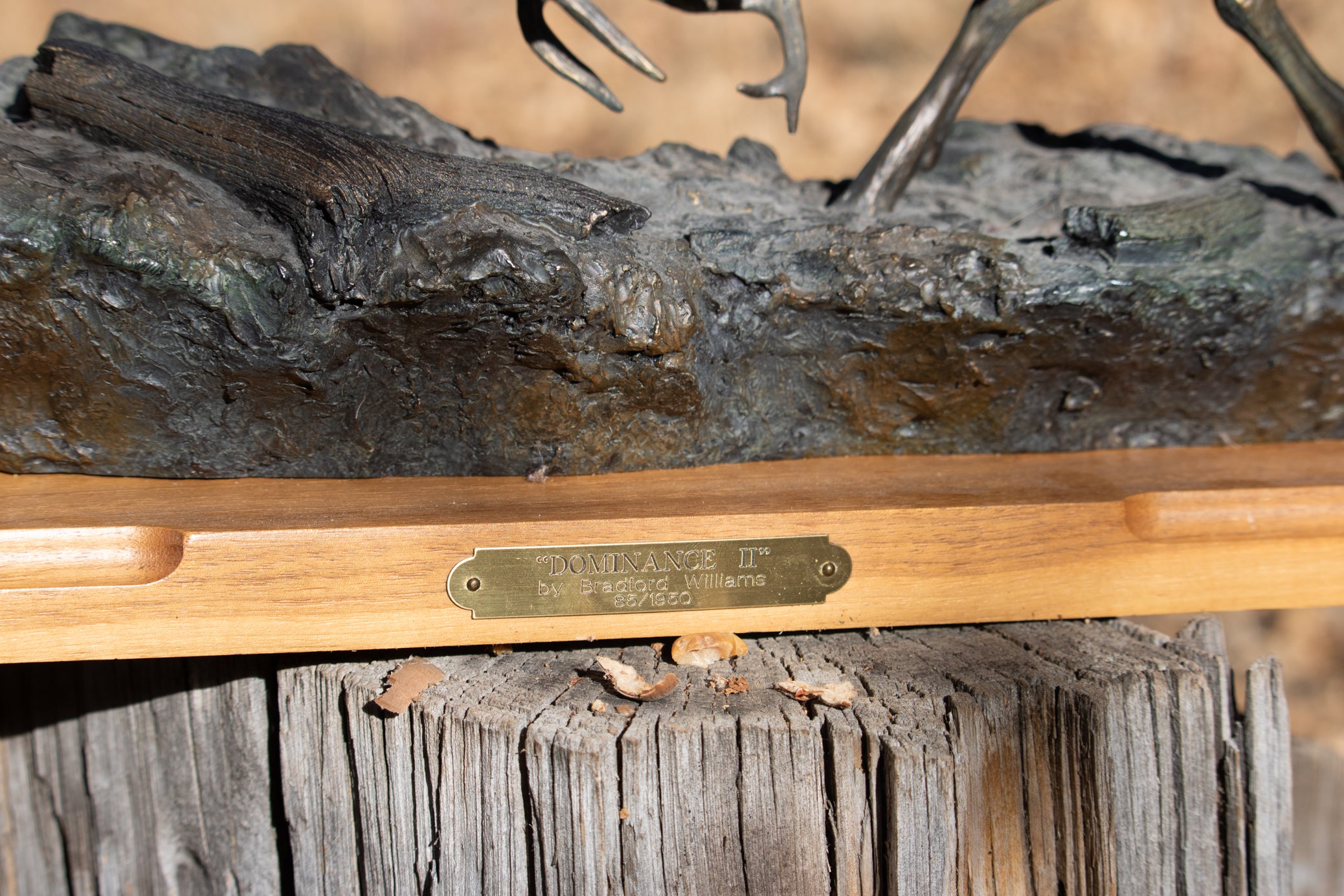 "Dominance II" By  Bradford Williams 85/ 1950.  Bronze sculpture depicts two fighting whitetail bucks